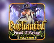 Enchanted: Forest Of Fortune - Hold & Win