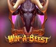 Win A Beest